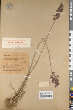 LE 01223987