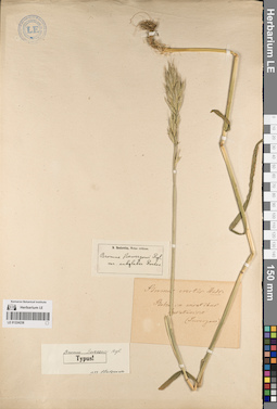 LE 01224238