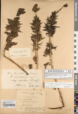 LE 01219790