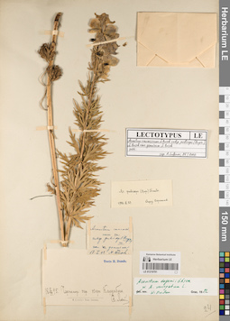 LE 01219791
