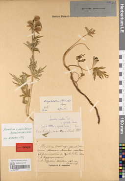 LE 01219792