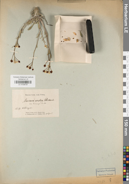 LE 01038725