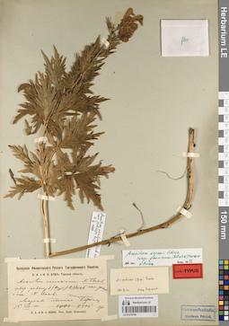 LE 01219794