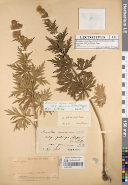 LE 01219795