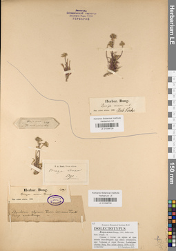 LE 01038729