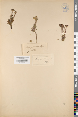 LE 01038732