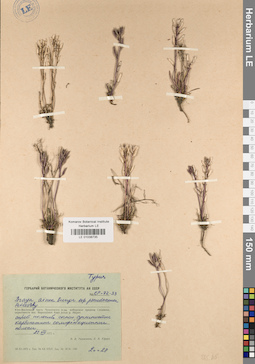 LE 01038735