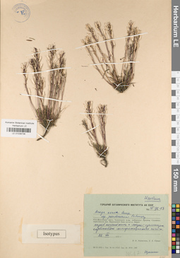 LE 01038736
