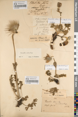 LE 01219804