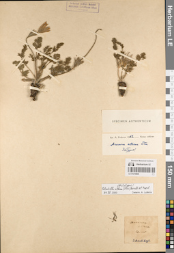LE 01219805