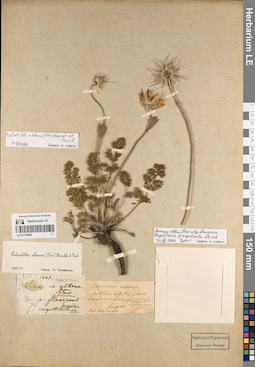 LE 01219806