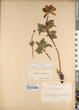 LE 01219807