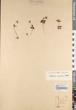 LE 01219809