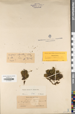 LE 01043451