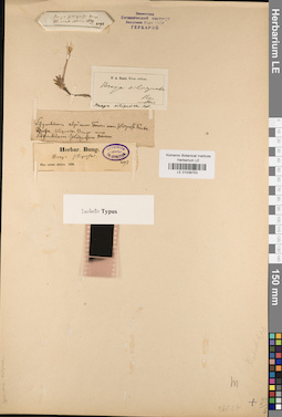 LE 01038753