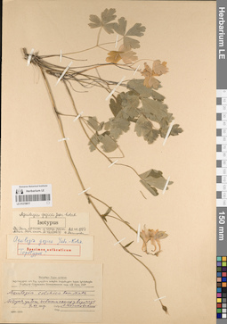 LE 01219817
