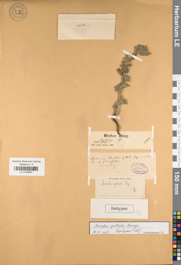 LE 01043587