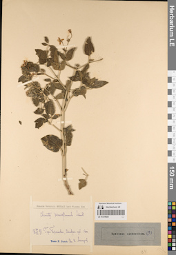 LE 01219820