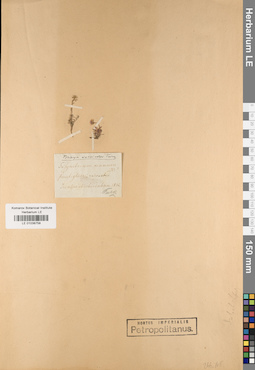 LE 01038758