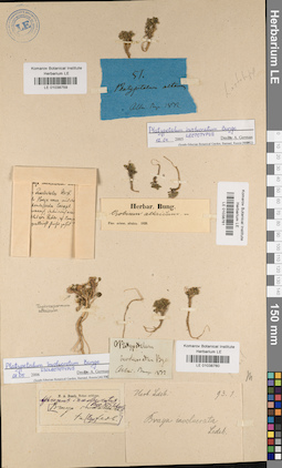 LE 01038760