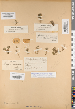 LE 01038764