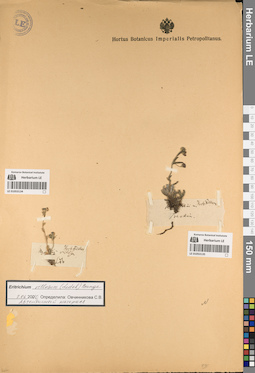 LE 01053135