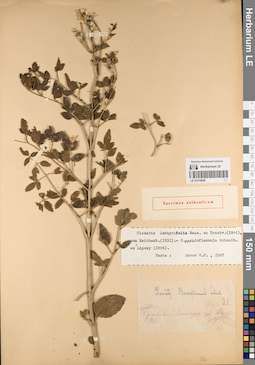 LE 01219828