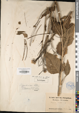 LE 01038770