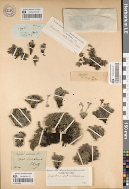 LE 01053491