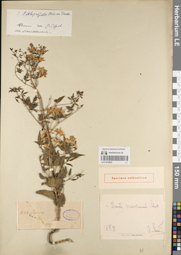 LE 01219832