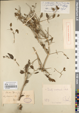 LE 01219833
