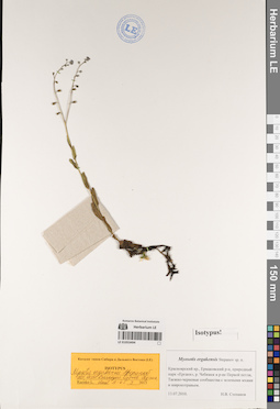 LE 01053494