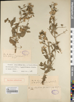 LE 01219835