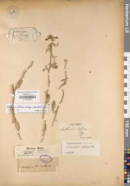LE 01038785
