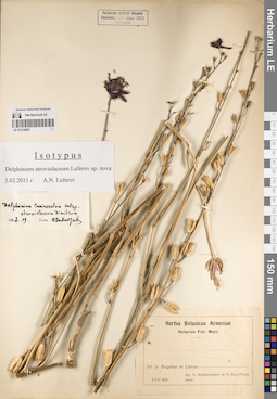 LE 01219855