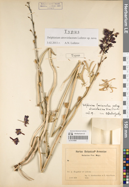 LE 01219858