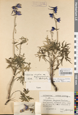 LE 01219867