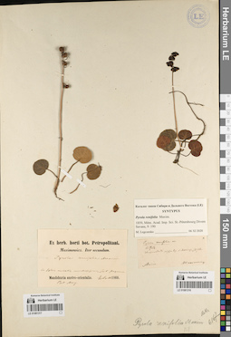 LE 01081317