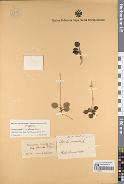 LE 01081322