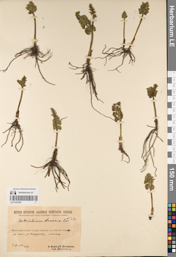 LE 01221493