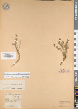 LE 01038825