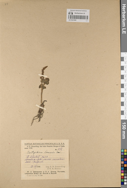 LE 01221503