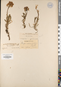 LE 01038841