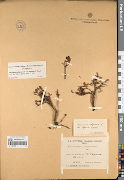 LE 01081593