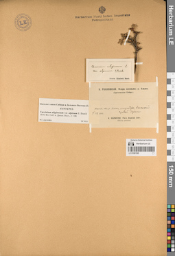 LE 01081595