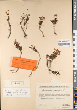 LE 01081605