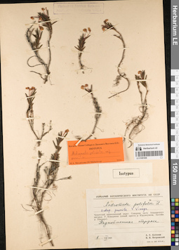 LE 01081606