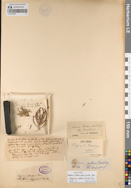 LE 01072939