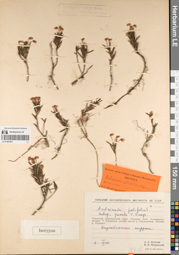 LE 01081607