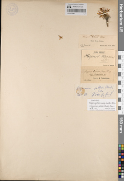 LE 01072940